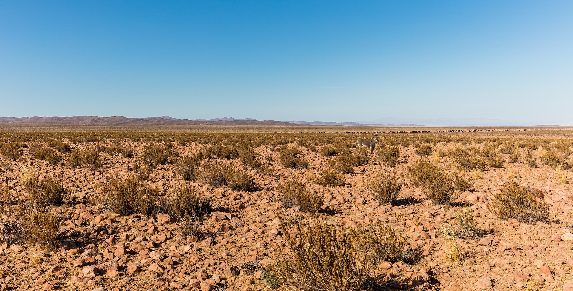 Paisaje del desierto de Atacama en las cercanías de Calama