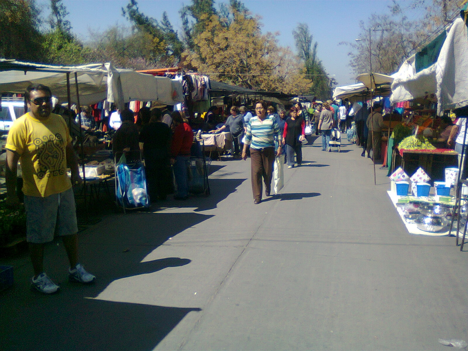 Puestos de frutas y verduras en una feria libre de Maipú