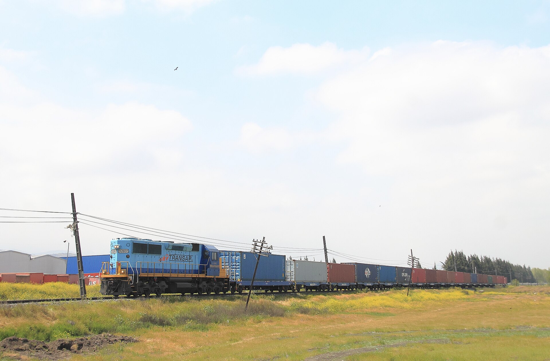 Trenes de carga en movimiento hacia un puerto chileno